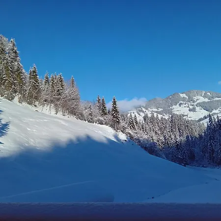Apartment Alpboden Auffach